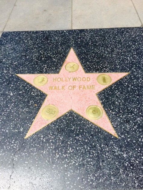 hollywood walk of fame