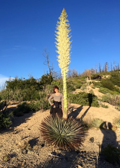 me & the yucca