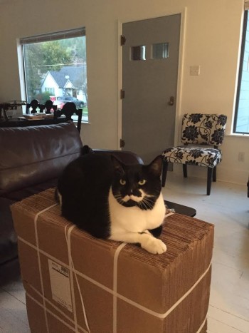 smith-on-packing-boxes