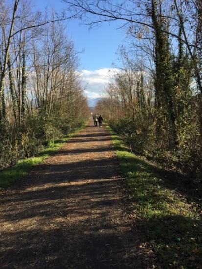 via-francigena